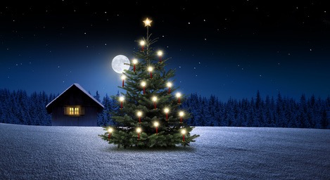 Weihnachtsglückwünsche
